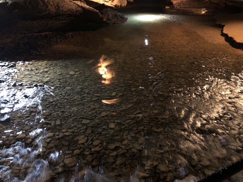 Natural, crystal clear, spring fed stream.