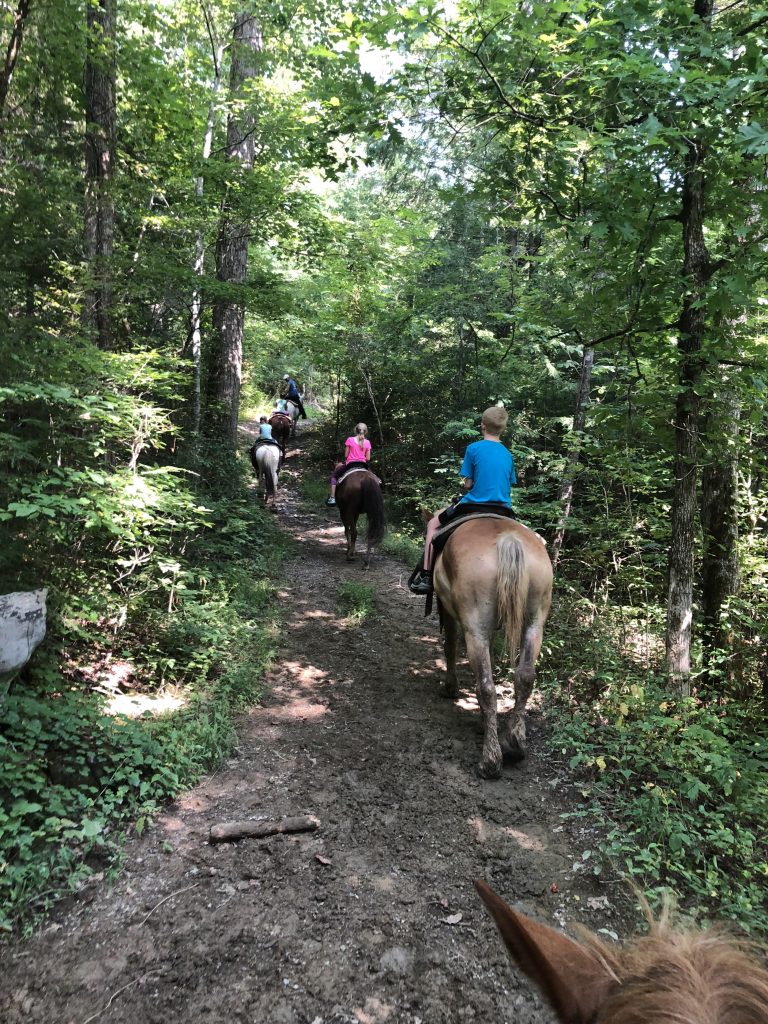 Horseback riding on the trails through the foothills of the Smoky Mountains.