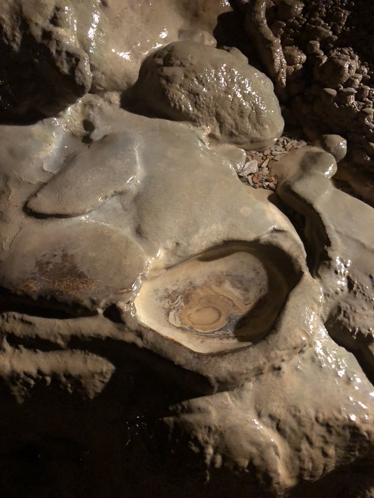 The power of a drip of water; a small pool made in a rock.