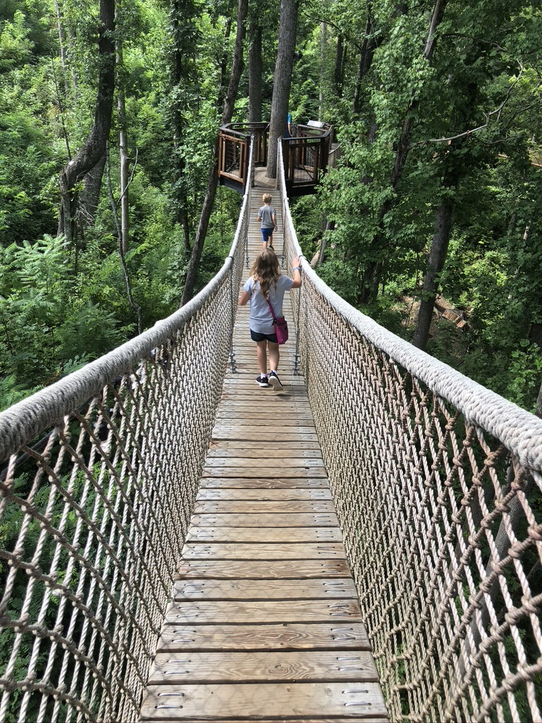 Anakeetsa reviews (treetop rope bridge)