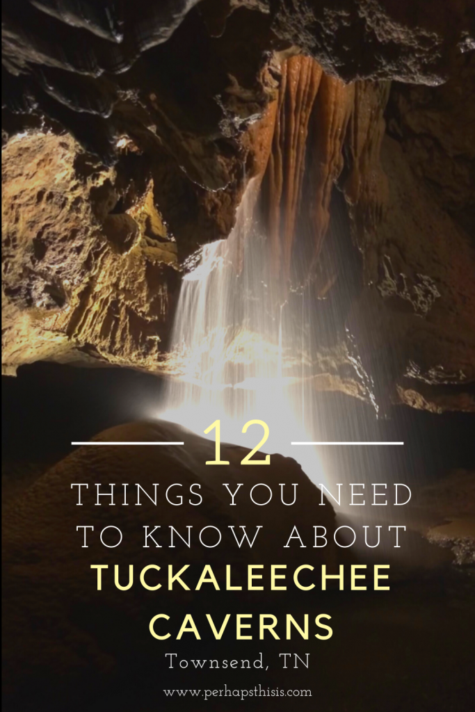 12 Things You Need To Know About Tuckaleechee Caverns - Townsend, TN