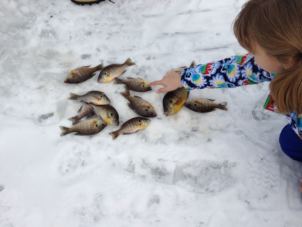 Ways to embrace winter: Go ice fishing.