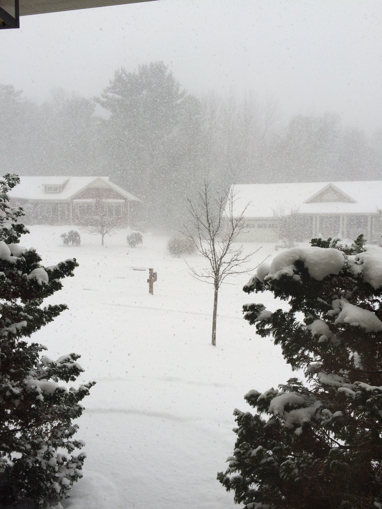 Snow falling in a neighborhood. 