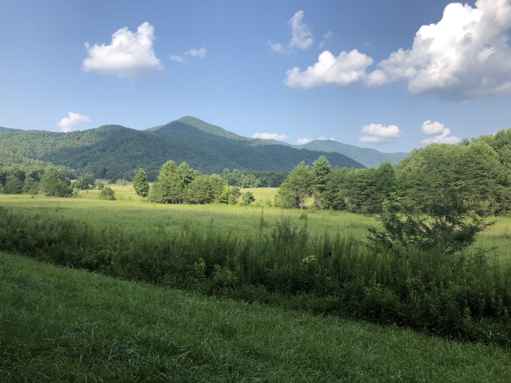 Cades Cove Loop ~ things to do near Townsend, TN 