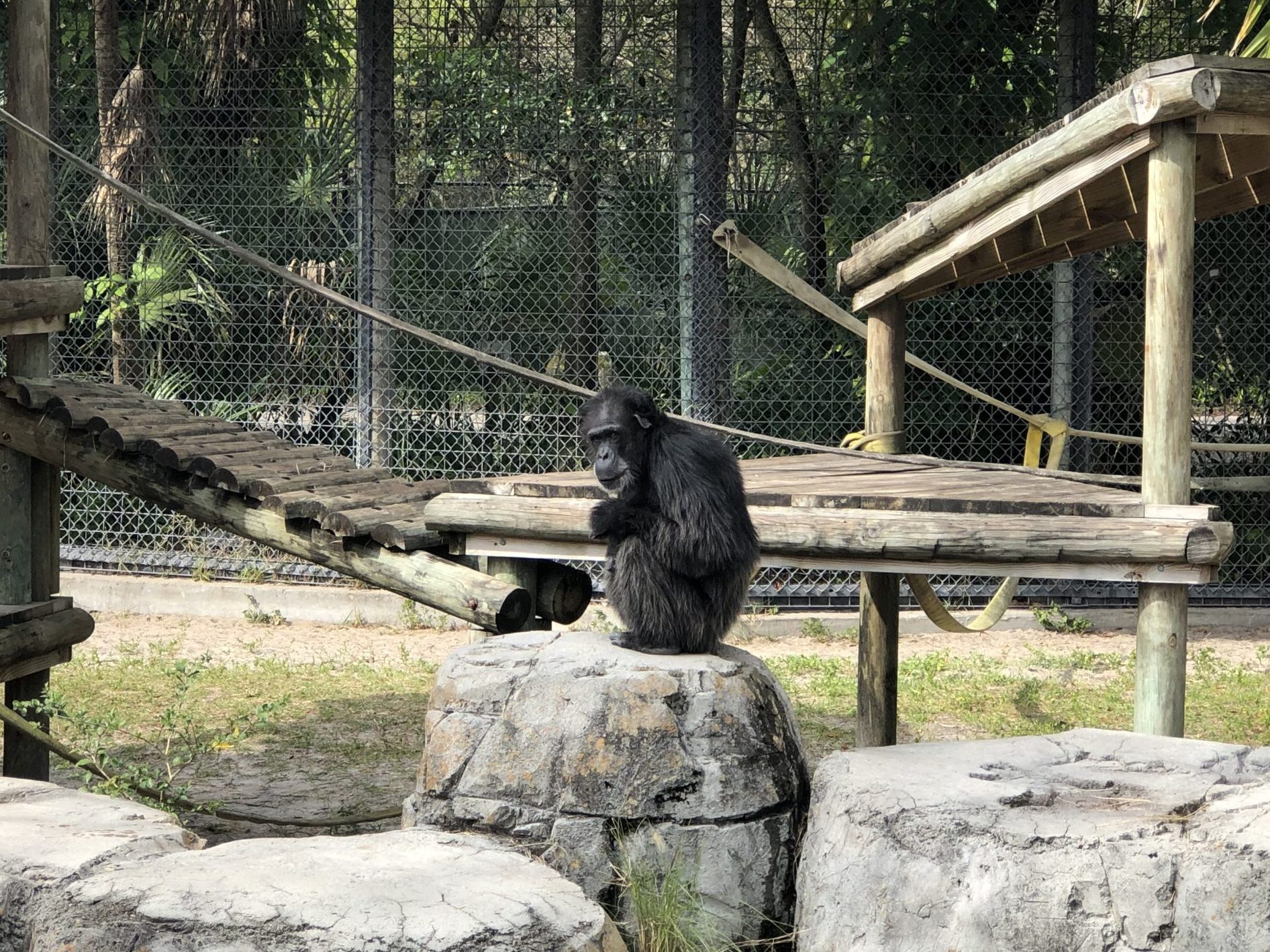 ZooTampa Primate World