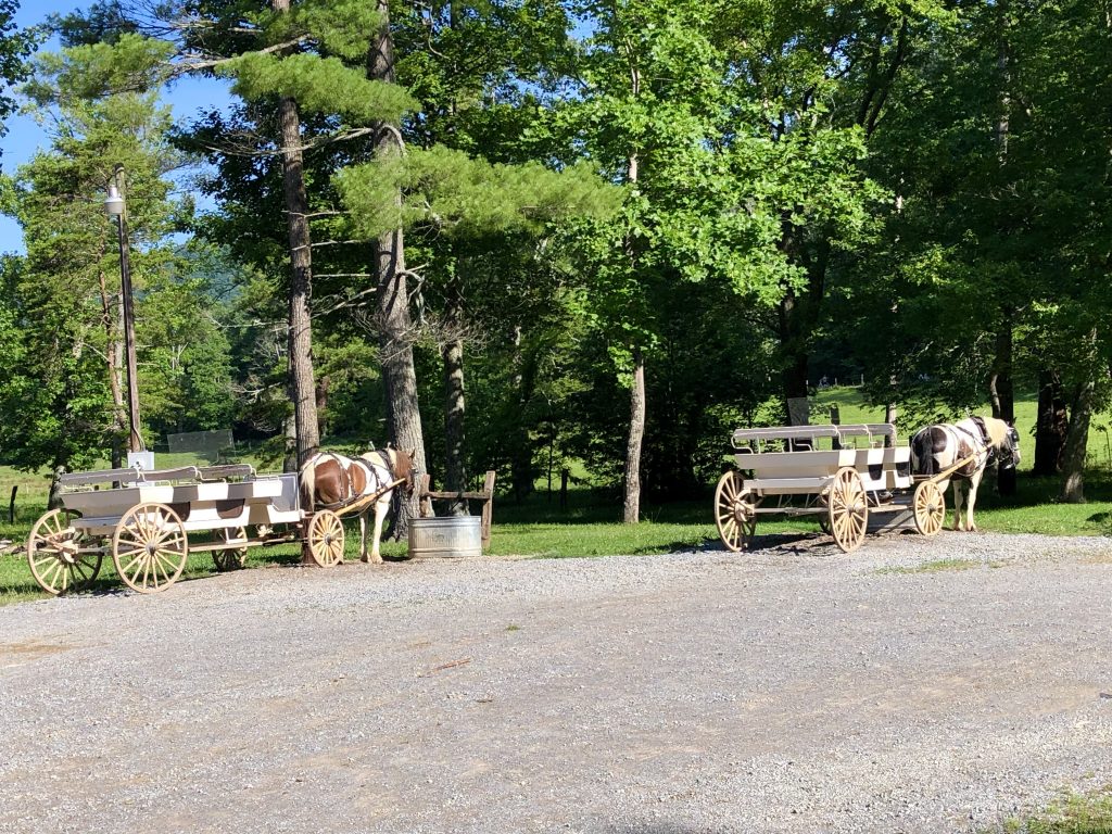 Guided carriage rides at Cades Cove Riding Stables