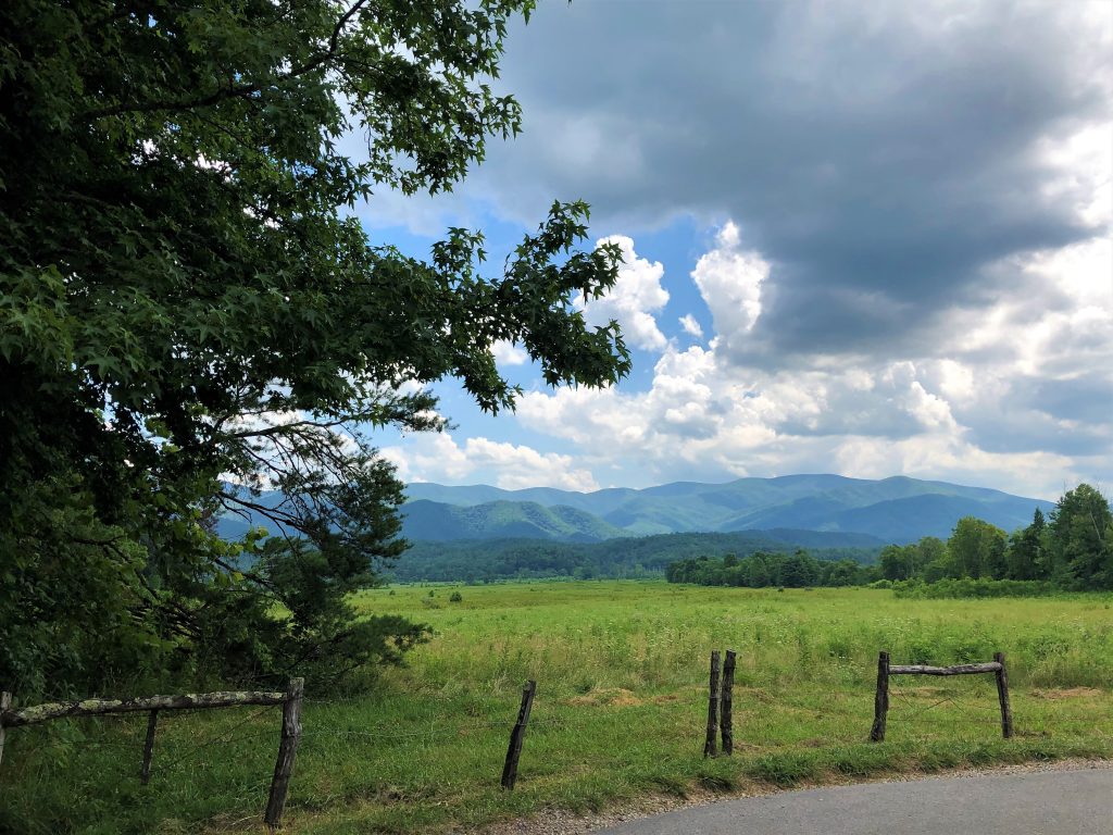 Cades Cove view of Mountains