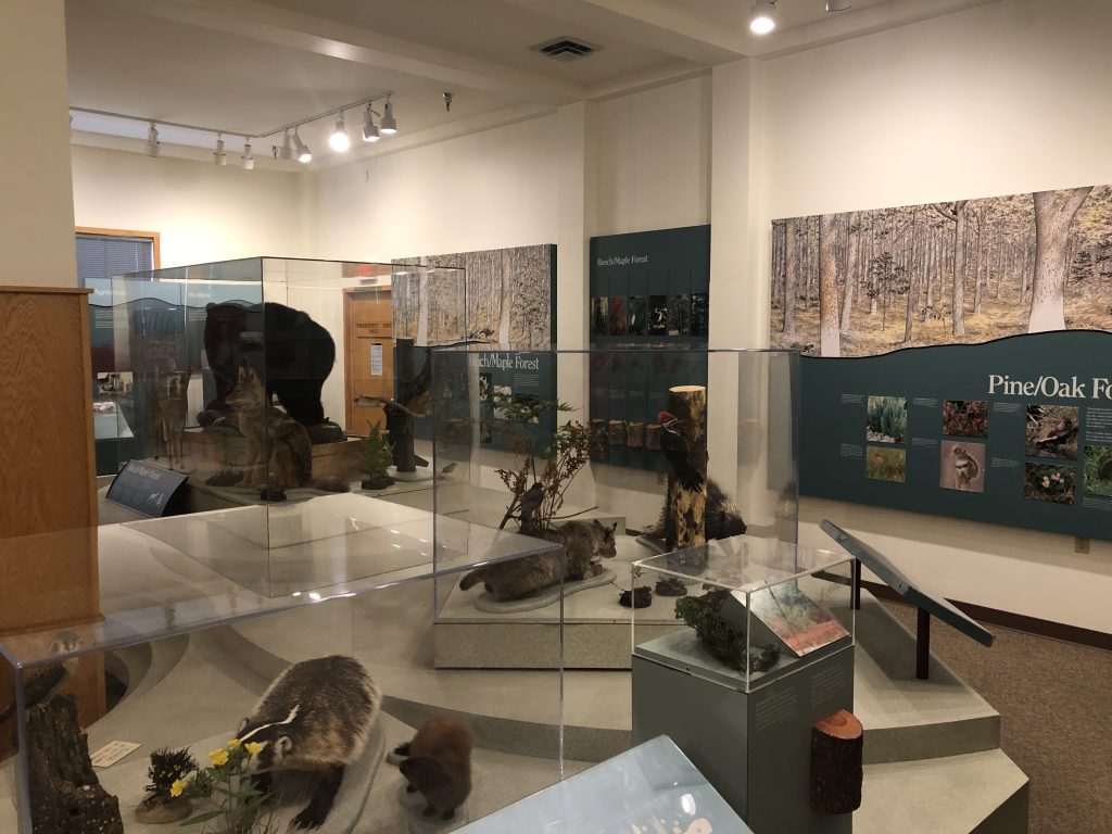 Exhibits inside the Philip A. Hart Visitor Center at the Sleeping Bear Dunes National Lakeshore.