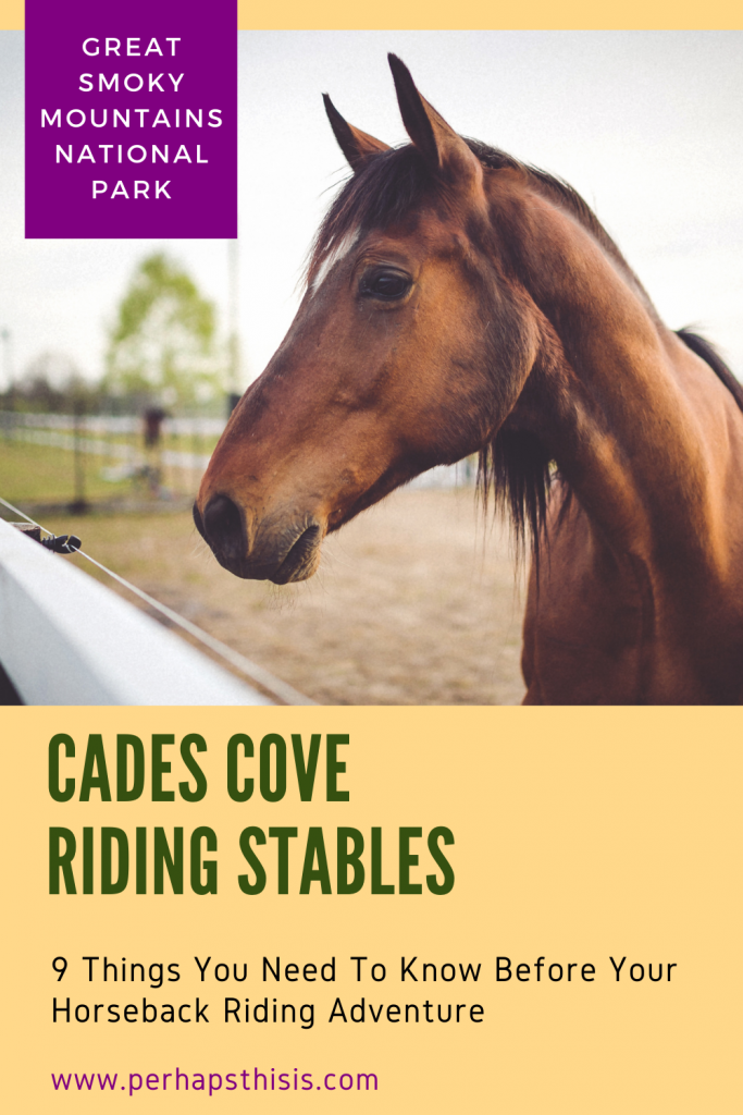 Cades Cove Riding Stables, Great Smoky Mountains National Park