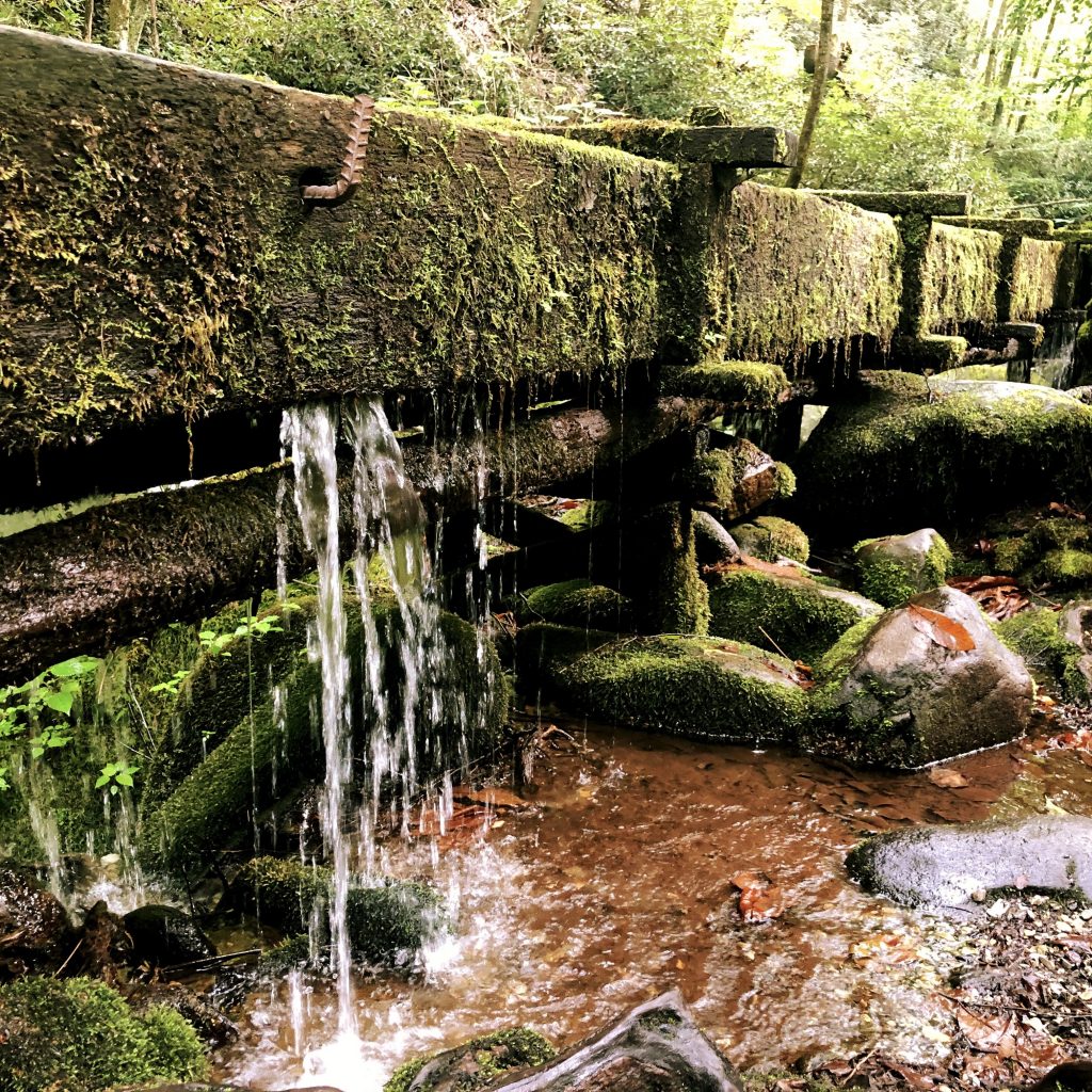 Roaring Fork Motor Nature Trail 