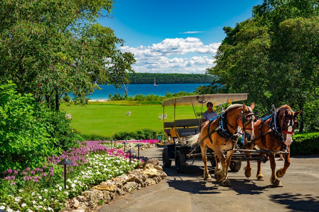 Mission Point Resort Horse-drawn Carriage Shuttle 