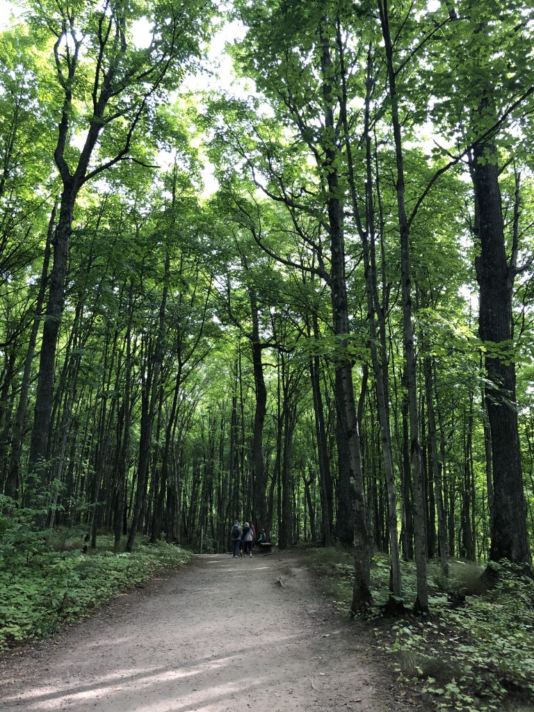 Gravel trail leading to Miners Falls