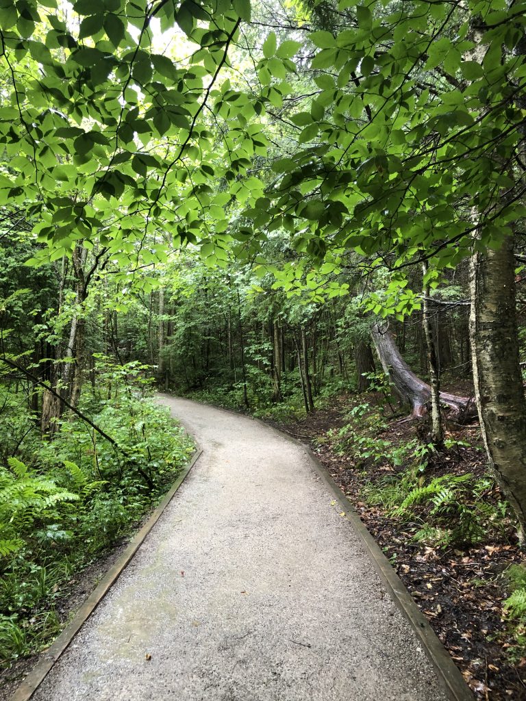 Well maintained gravel trail leading to Wagner Falls.