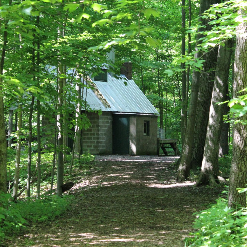 Maple Sugar Time Indiana Dunes National Park