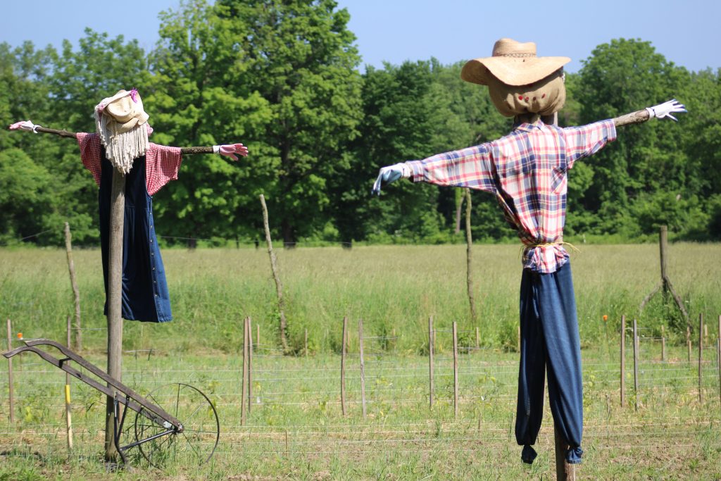 Scarecrows at Chellberg Farm Indiana Dunes National Park
