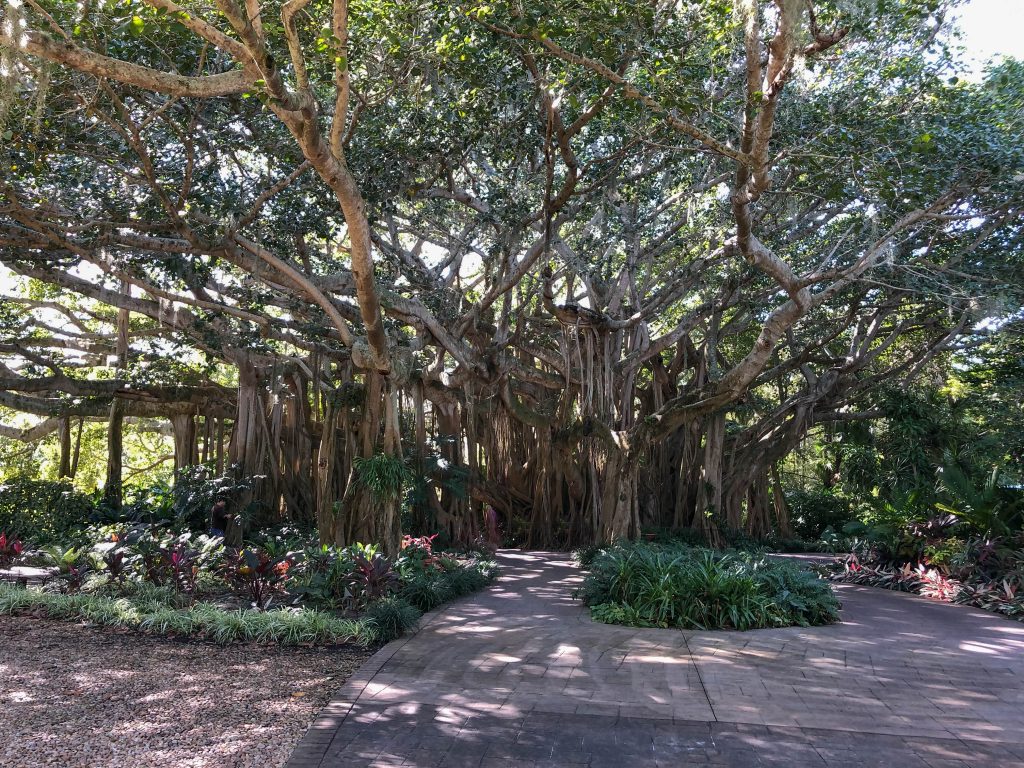 Cypress Gardens LEGOLAND Banyan Tree