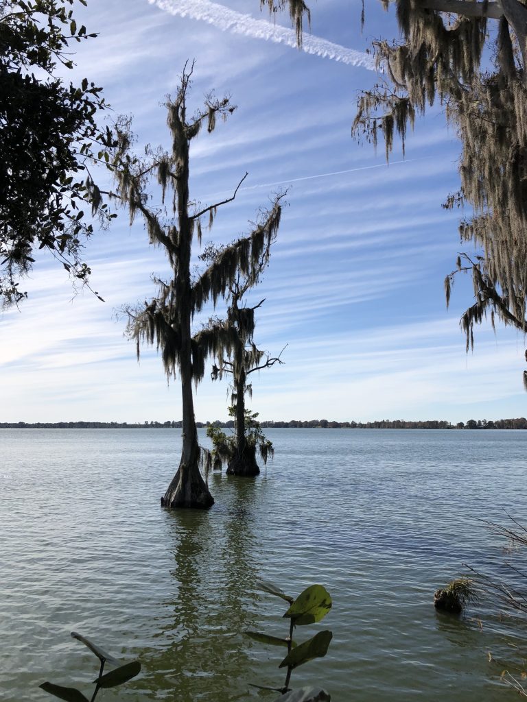 Lake Eloise - LEGOLAND Florida 