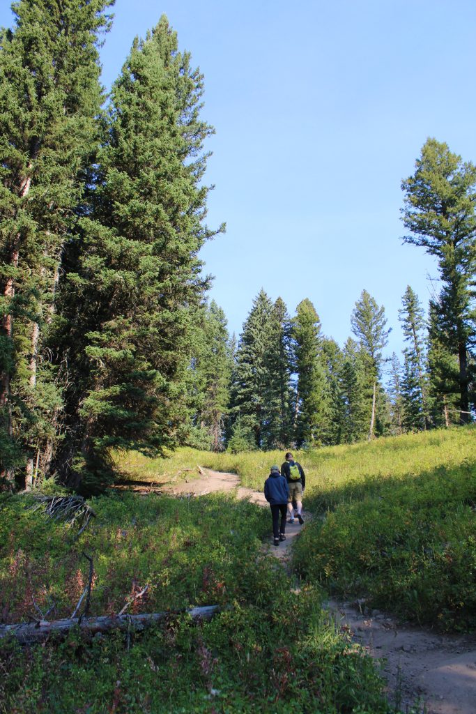 Portion of inclined hiking trail at Trout Lake Yellowstone National Park