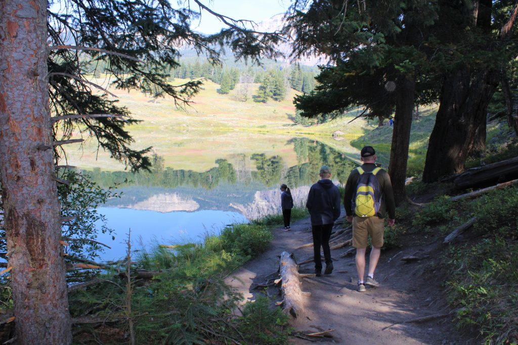 Portion of trail at Trout Lake Yellowstone National Park