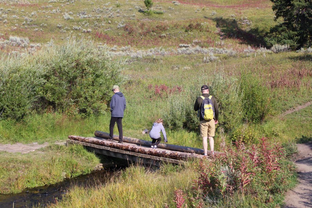 Crossing a Bridge at Trout Lake Yellowstone National Park (Family Friendly Hikes)