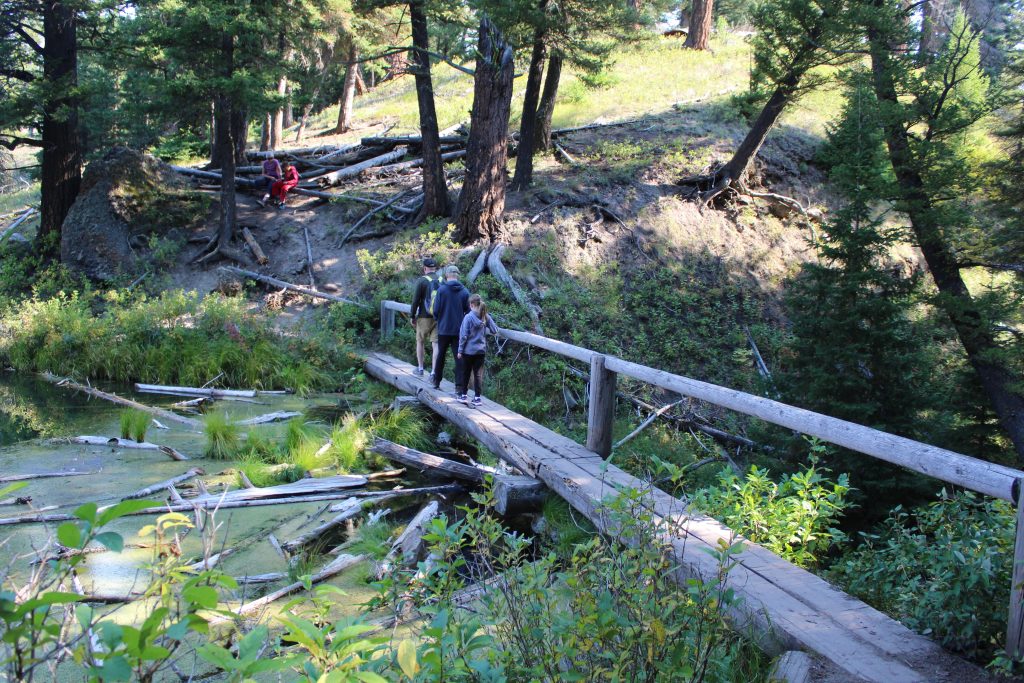 Wooden bridge along southeastern edge of Trout Lake Yellowstone NP