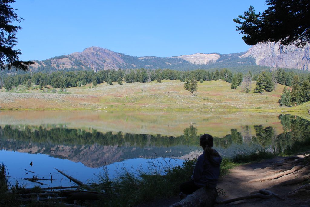 Reflection of mountains on water at Trout Lake Trail Yellowstone National Park.  Family Friendly hikes at Yellowstone. 