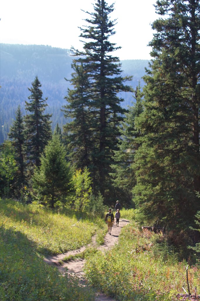 Hiking downhill at back country trail,  Trout Lake, Yellowstone National Park