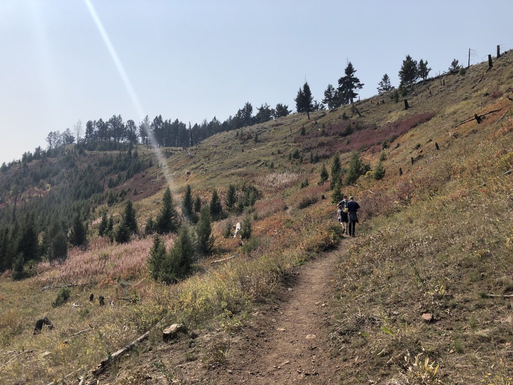 Hellroaring Creek Trail, Yellowstone National Park