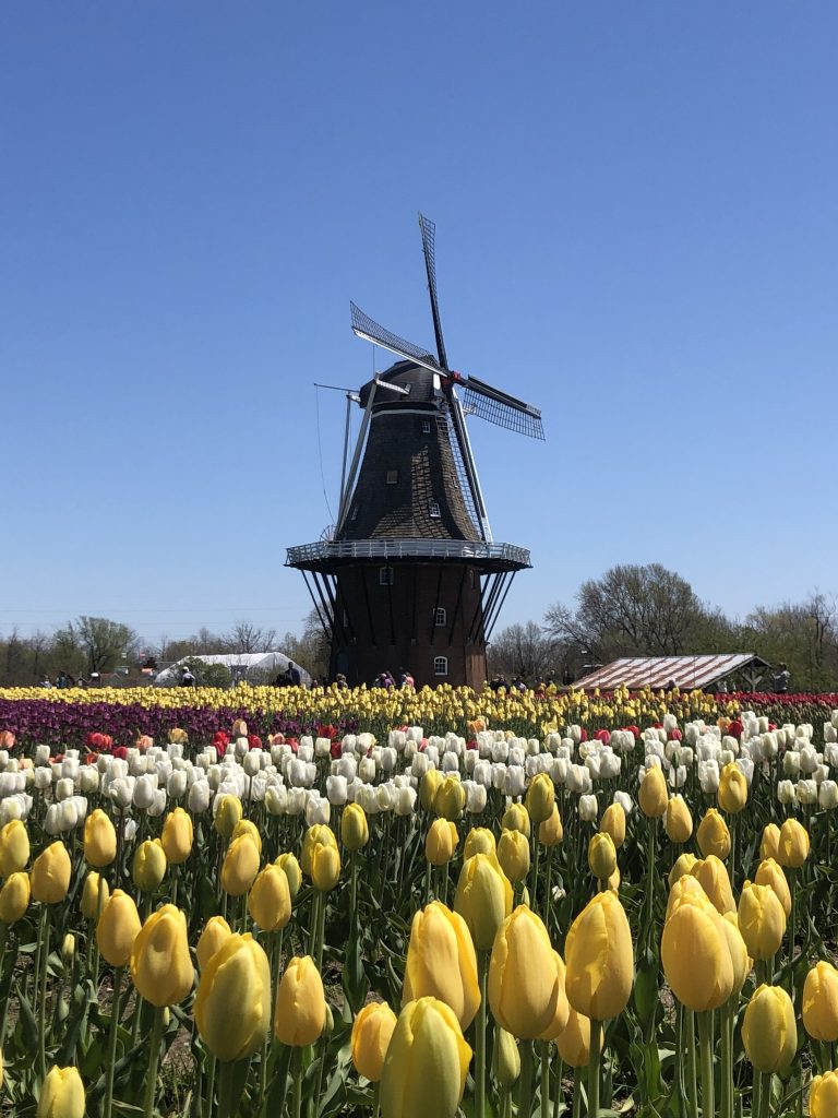 Holland, MI - Best Multigenerational Vacation Destinations