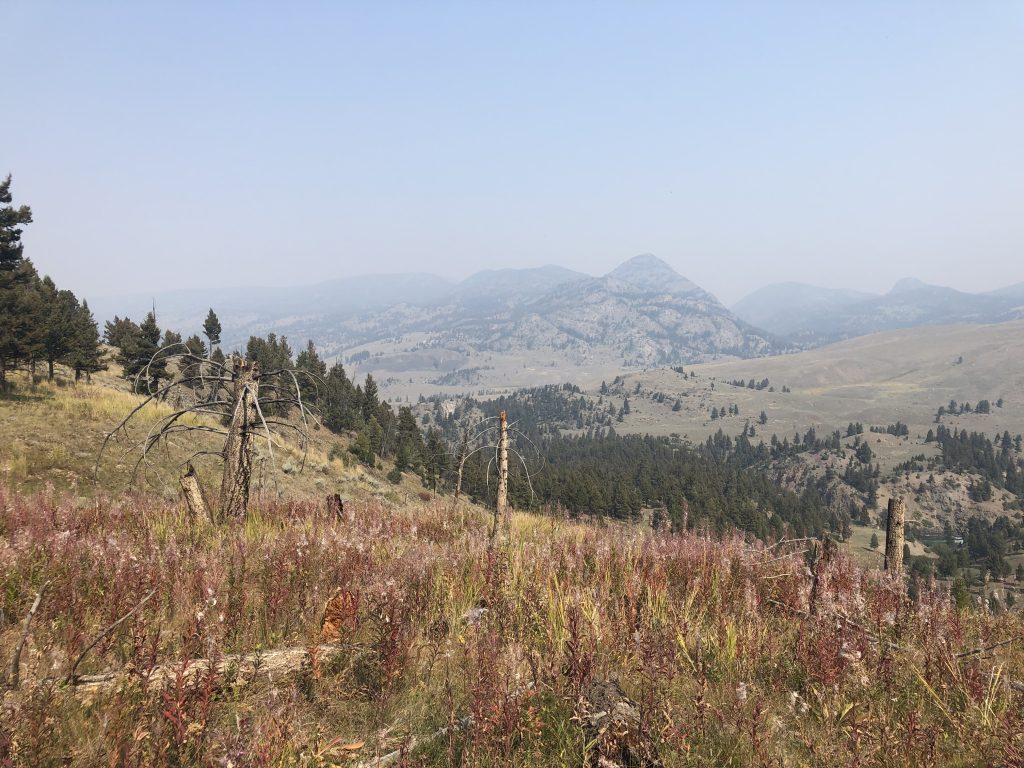 View of the mountains at Yellowstone National Park