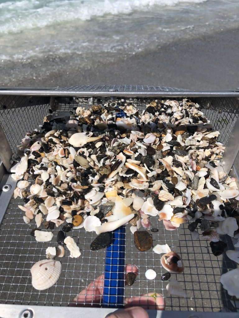 Shark Frenzy Sifter For Shark Tooth Hunting - Things To Do In Sarasota For Kids