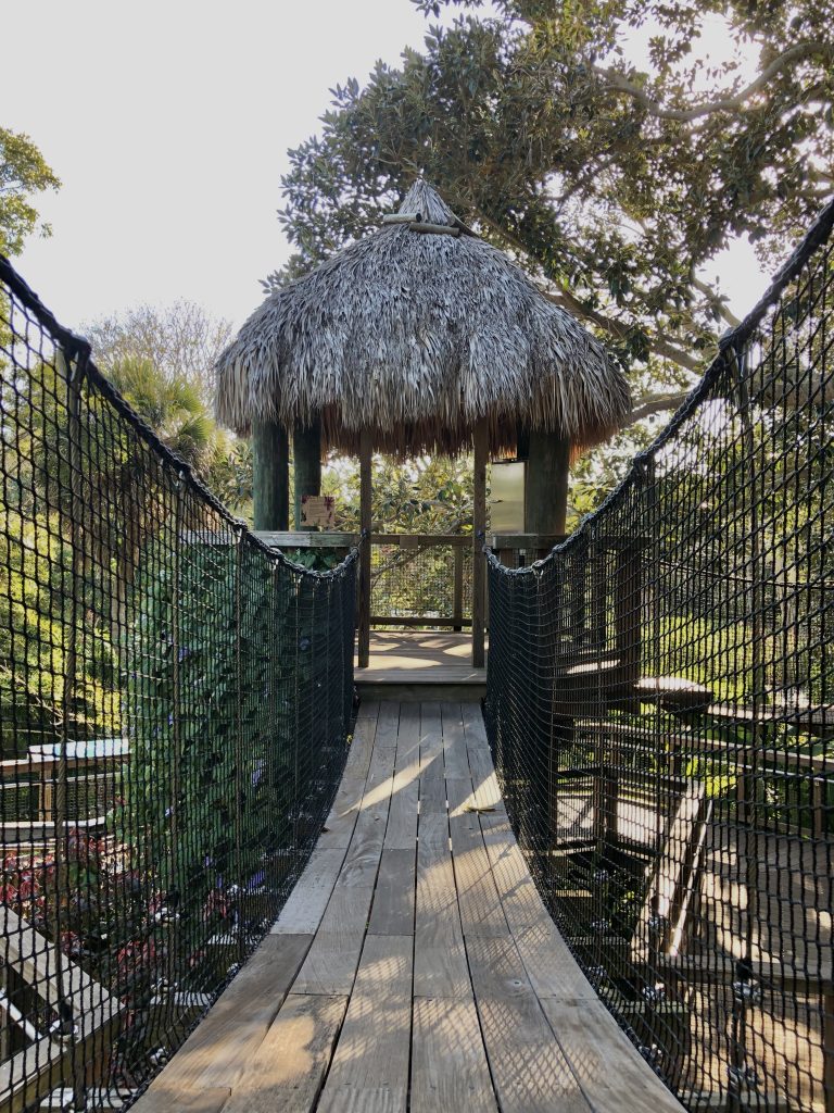 Rope Bridge in the Children's Rainforest at Marie Selby Botanical Garden - Things To Do In Sarasota With Kids