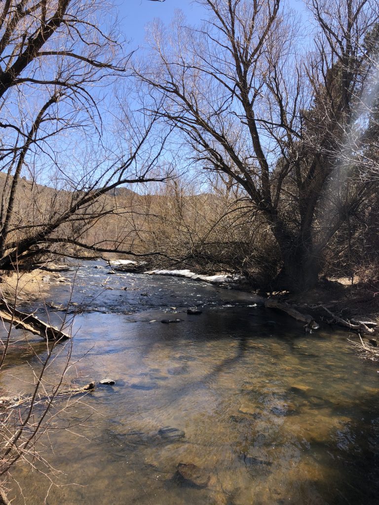 Bear Creek located inside the Lair o' the Bear Park - Things to do in Morrison Colorado