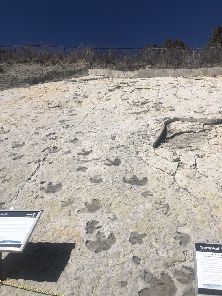 Dinosaur footprints at Dinosaur Ridge Trail - Things To Do In Morrison Colorado 