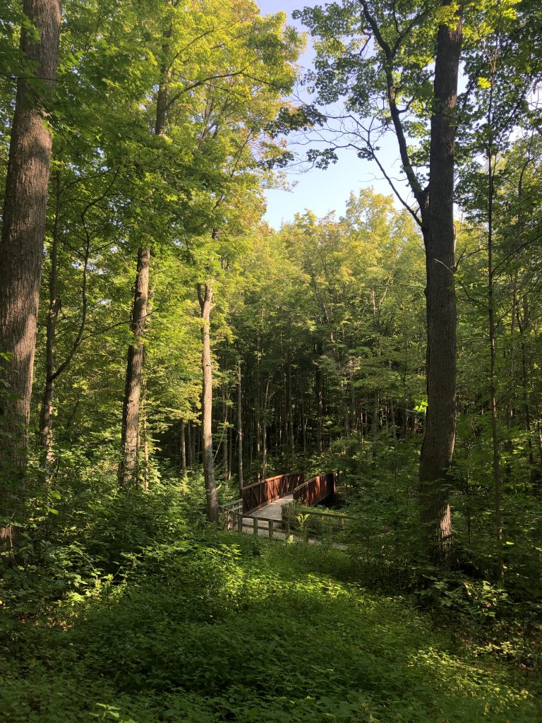 Ionia State Park Trails