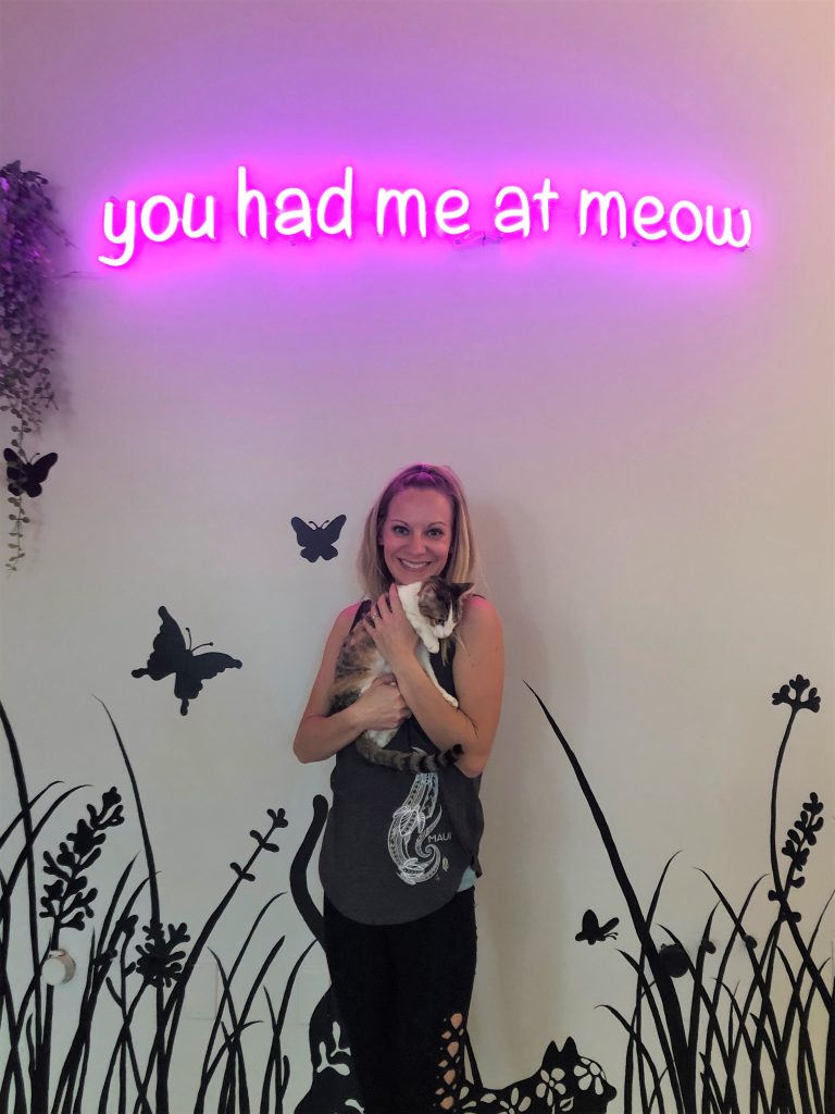 You had me at meow sign at Cat Cafe Maui Kaahumanu