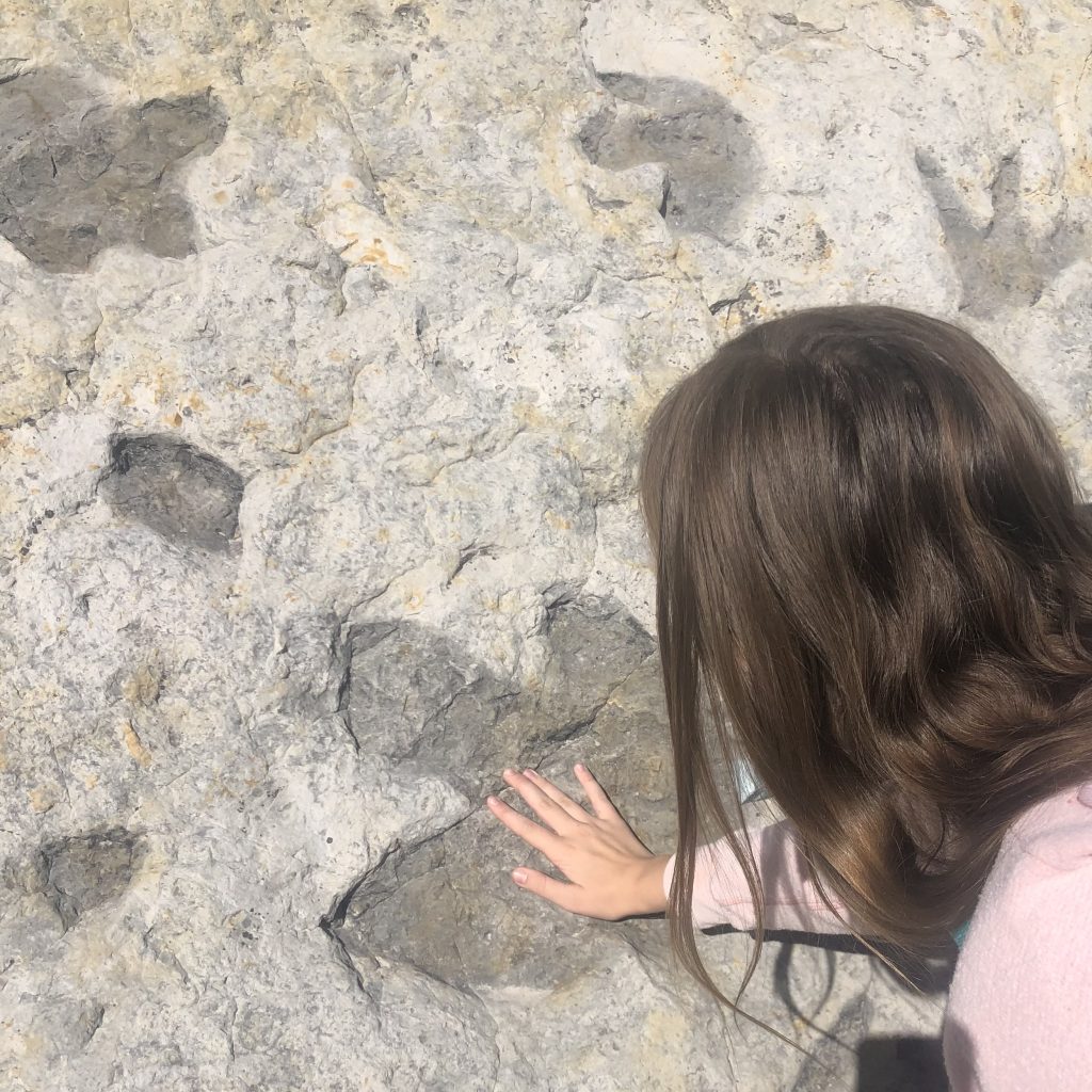 Touching dinosaur footprints at Dinosaur Ridge, Morrison, CO