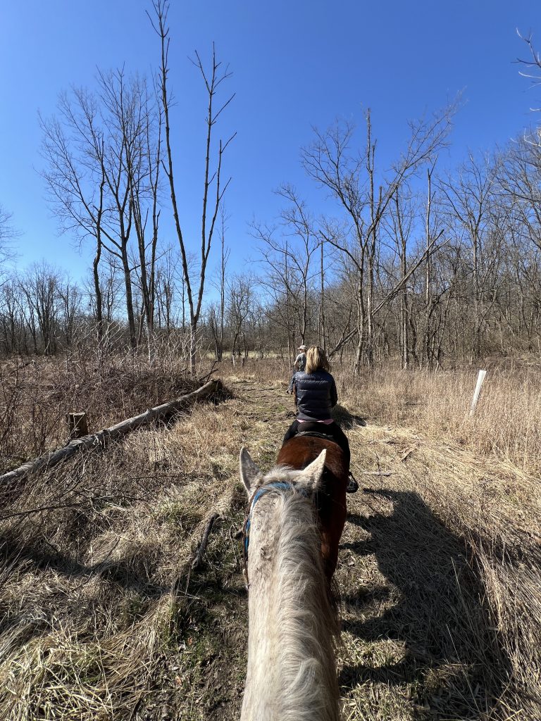 Horseback riding: Natural Valley Ranch, Hendricks County Indiana