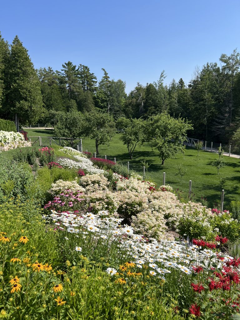 The Orchard at The Inn at Stonecliffe